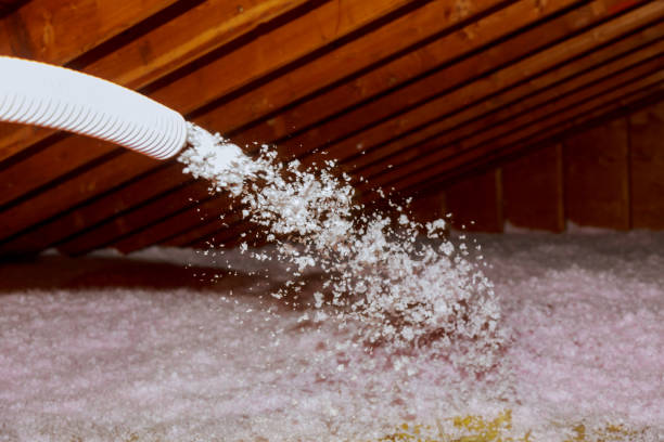 Best Geographic-Specific Insulation Services in Danville, AR