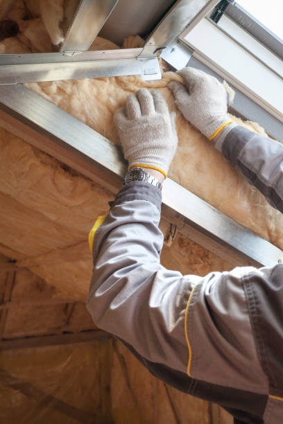 Best Spray Foam Insulation in Danville, AR