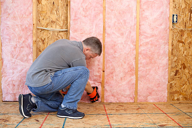 Best Eco-Friendly Insulation in Danville, AR