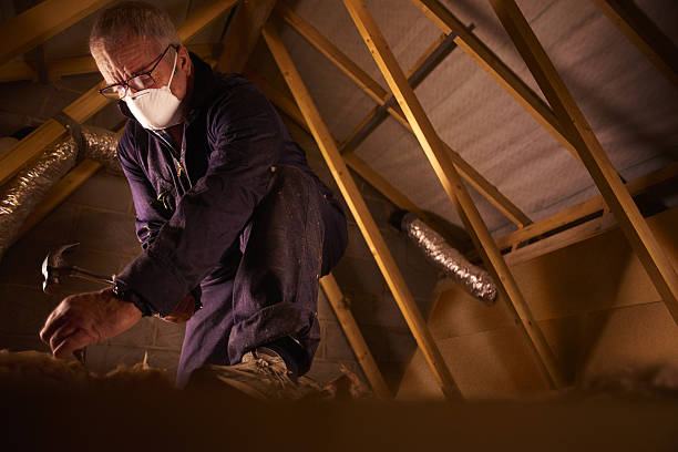Types of Insulation We Offer in Danville, AR