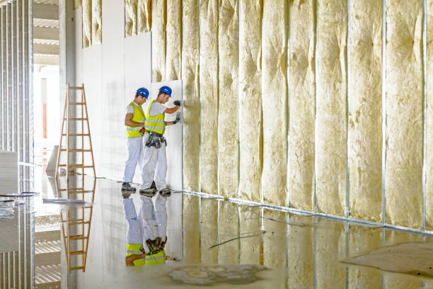 Best Energy Efficiency Insulation in Danville, AR